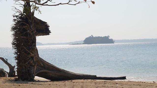 Mahatma Gandhi Marine National Park